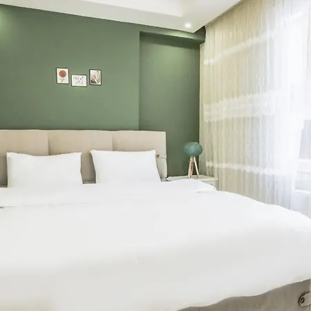 Apartment Flat Close To Shopping Malls In Kagithane